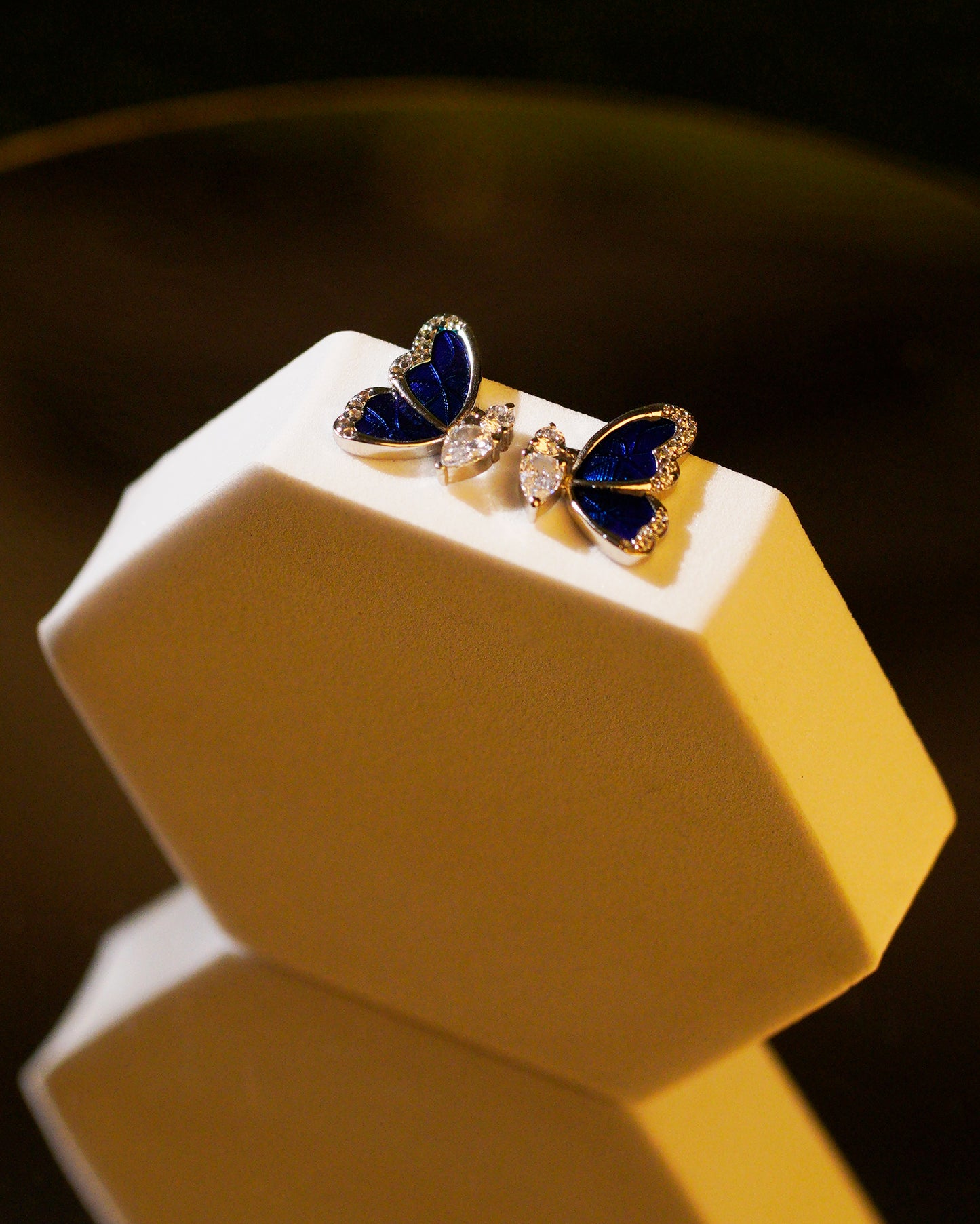 Skyward Wing Earrings