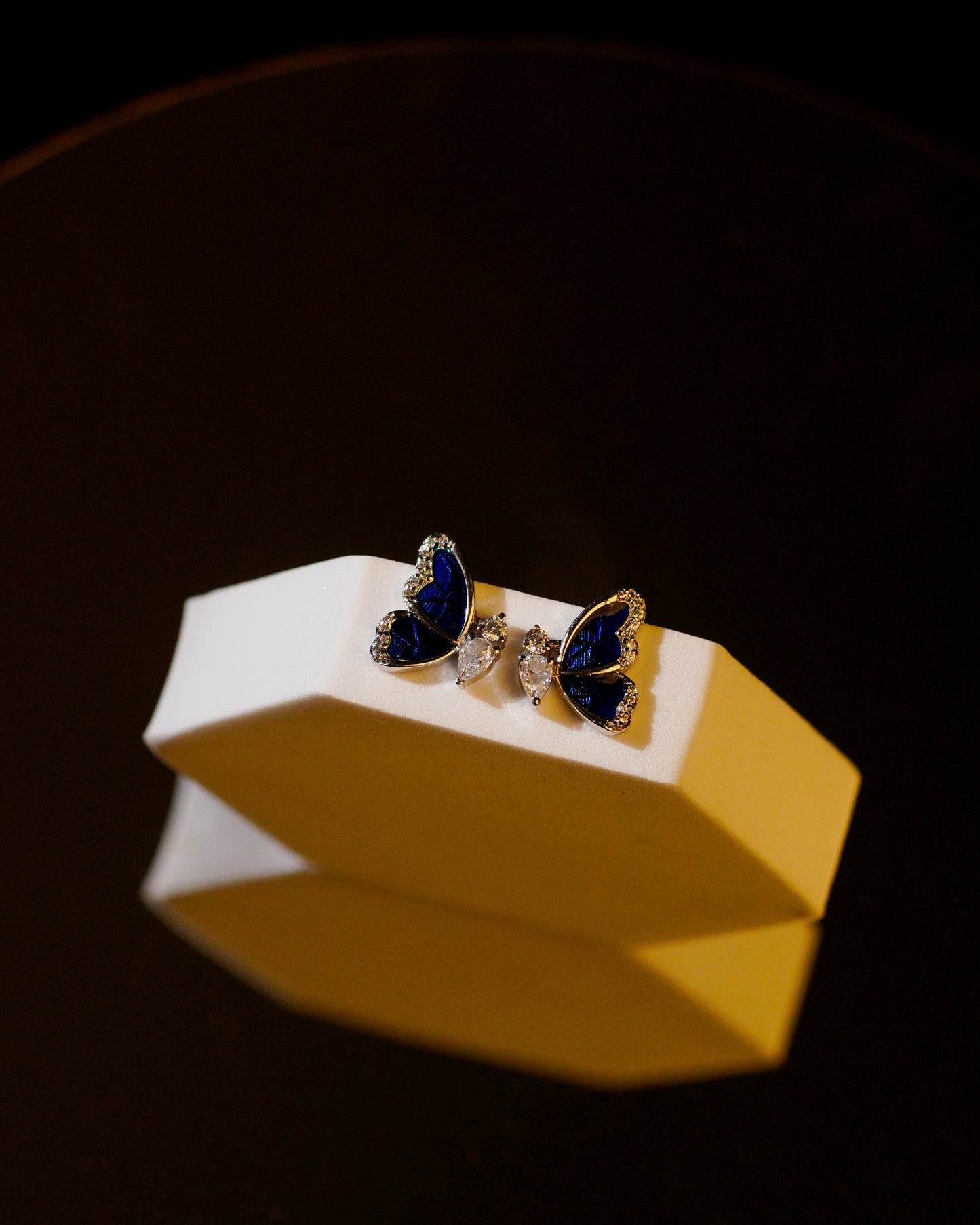 Skyward Wing Earrings