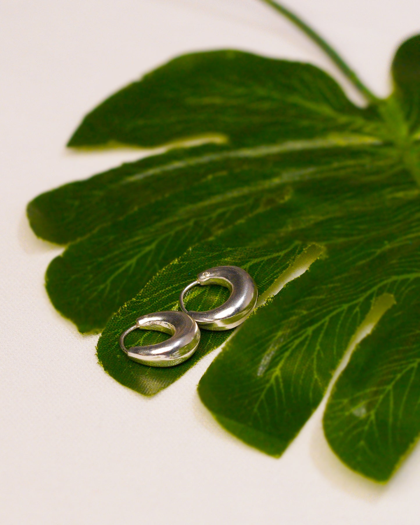 Dainty Hoop Earrings